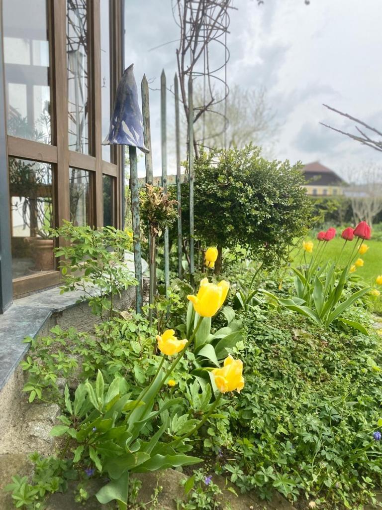 Traumhaft Grosse Ferienwohnung Naehe Attersee Санкт-Георген-им-Аттергау Экстерьер фото