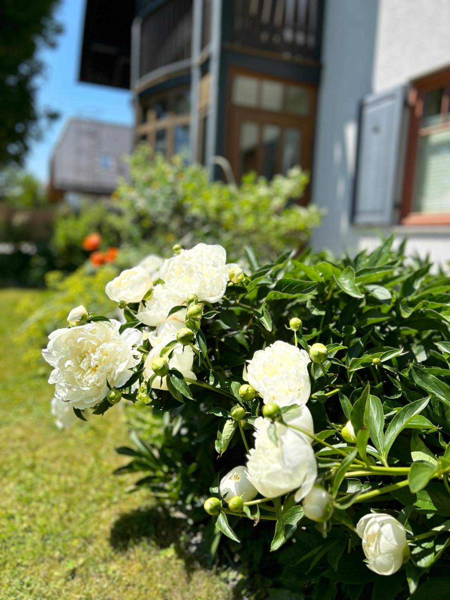 Traumhaft Grosse Ferienwohnung Naehe Attersee Санкт-Георген-им-Аттергау Экстерьер фото