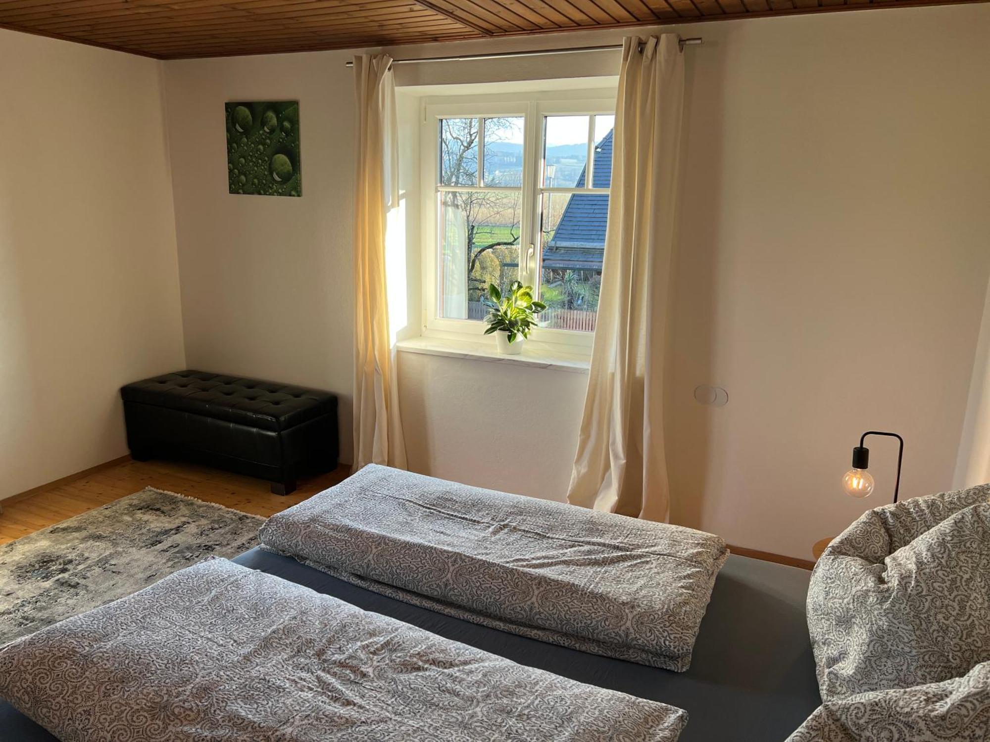 Traumhaft Grosse Ferienwohnung Naehe Attersee Санкт-Георген-им-Аттергау Экстерьер фото